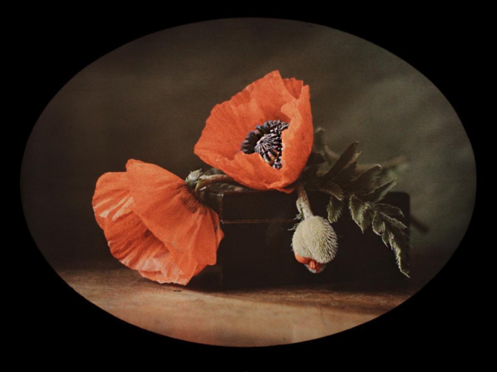 Aufnahme auf einer Autochrome Farbplatte, ca. 1910