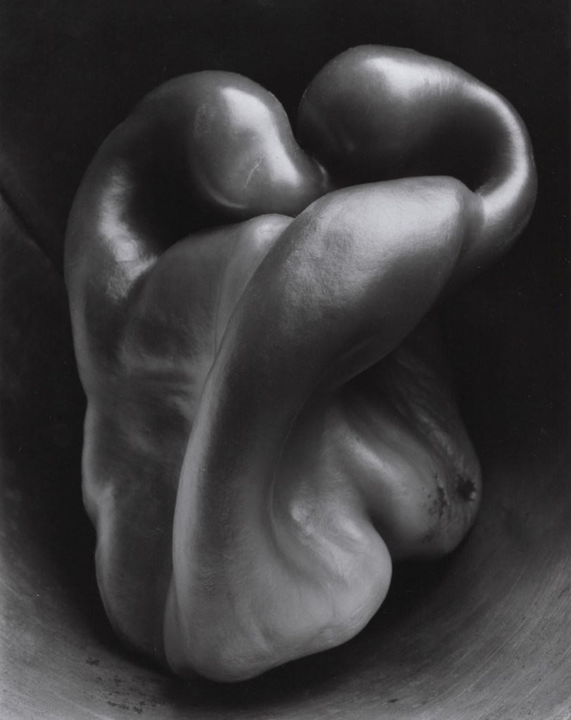 Edward Weston: Pepper no 30, 1930